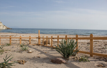 Fototapeta premium view of the beach