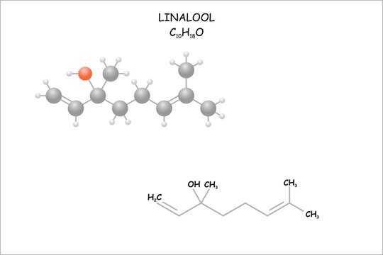 Stylized molecule model/structural formula of linalool