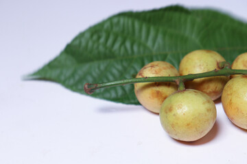 Baccaurea motleyana with leaf for eat