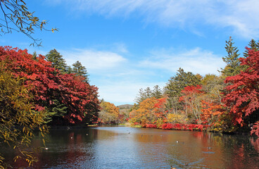 雲場池の紅葉　軽井沢