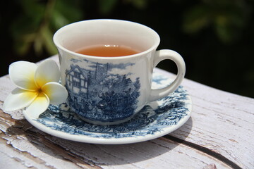Mango jasmine (Plumeria rubra) tea, also known as Frangipani, in a porcelain cup decorated with a natural flower, in a garden with a blurred background.