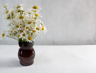 Beautiful bouquet of daisies in vase on light background