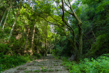 施福寺（大阪府和泉市）参拝