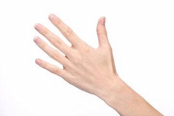Female hand shows five fingers isolated on white background.