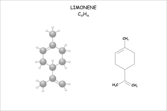 Stylized molecule model/structural formula of limonene.