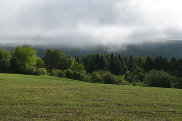 A field in spring after sowing, Sainte-Apolline, Québec, Canada