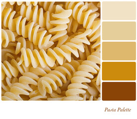 Pasta spirals background in a colour palette with complimentary colour swatches. 