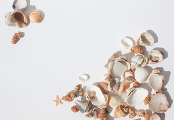 Summer concept. Seashells and decorations on a white, pastel background. Flat lay, top view, 