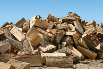 pile of wood logs