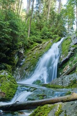 Obraz premium waterfall in the forest