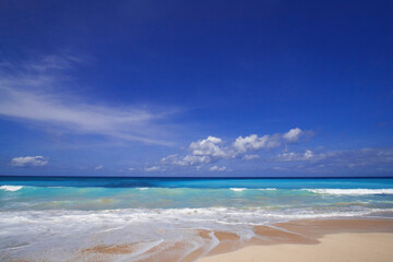 Fototapeta premium beach with sky