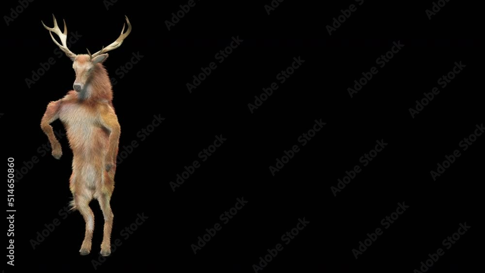 Fototapete deer dancing cg fur 3d rendering animal realistic cgi vfx animation loop composition 3d mapping cart