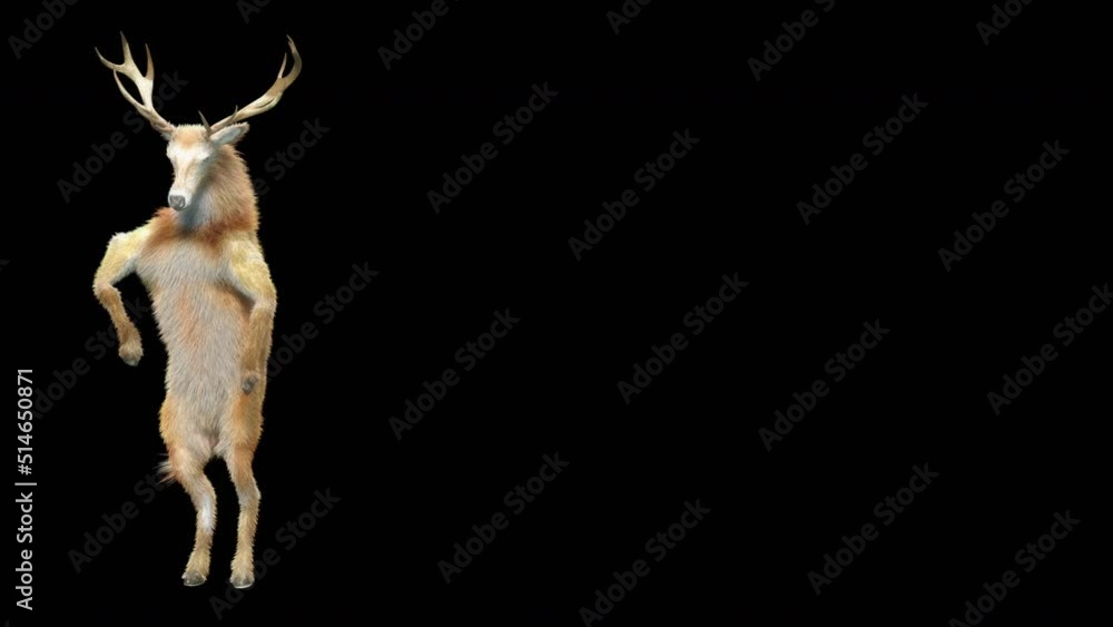 Fototapete deer dancing cg fur 3d rendering animal realistic cgi vfx animation loop composition 3d mapping cart
