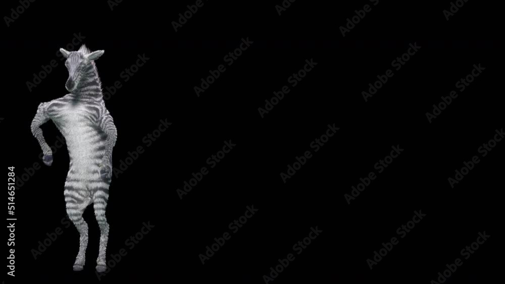 Poster zebra dancing, 3d rendering, animation loop, cartoon. included in the end of the clip with alpha mat