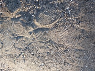 Fototapeta na wymiar footprint in snow
