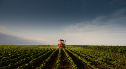Tractor spraying soybean crops field © Dusan Kostic