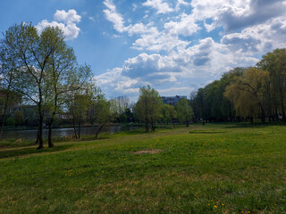 landscape with trees and clouds