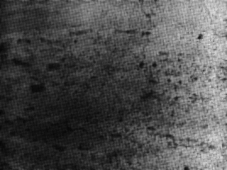 Vertical polka dots. Halftone wave background. Curved gradient texture or pattern. Pop art texture. Vector illustration.Dots Background. Grunge Backdrop. Halftone Overlay. Pop-art Texture.