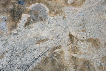 the abstract form on grunge floor