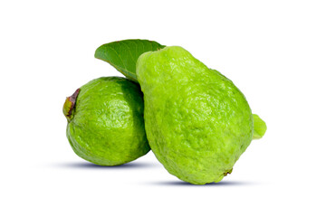 Fresh green guava fruit isolated on white background
