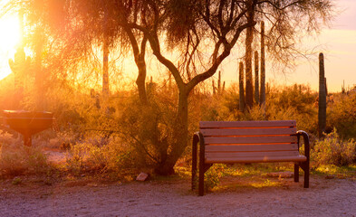 bench in the desert