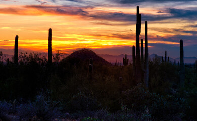 Sunset over Arizona desert