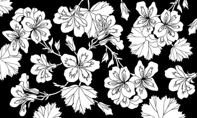 Decoration with flower geranium, pelargonium. Drawing vector. Floral background. Isolated hand drawn objects with geranium flower buds and leaf. Botanical linear style illustration on black background