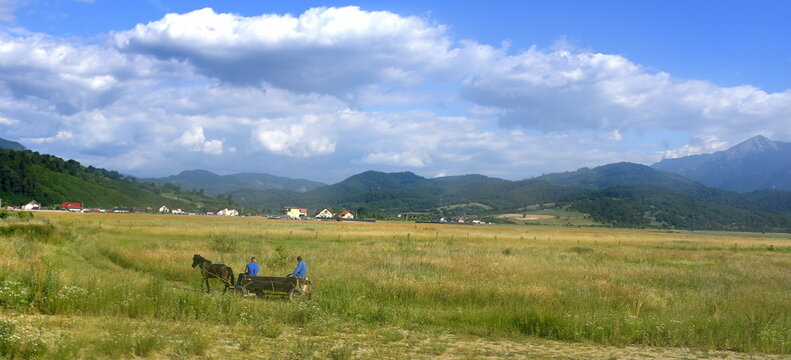 Pferdegespann unterwegs in der Walachei