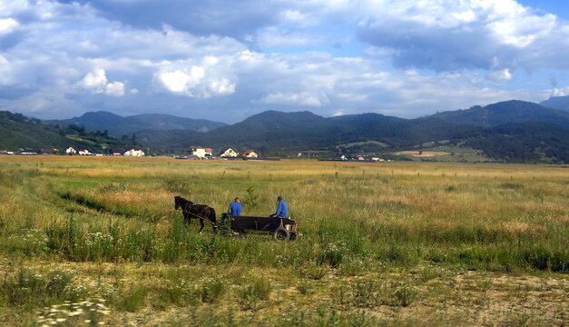 Pferdegespann unterwegs in der Walachei