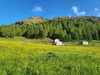 Beautiful summer landscape in Val di Campo,, Poschiavo in Canton Graubunden, Switzerland.
