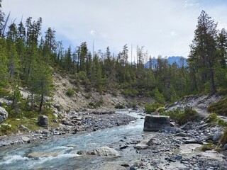 Beautiful summer landscape with refreshing river stream in Fuorn valley trail in Swiss National...