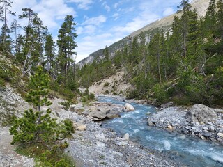 Beautiful summer landscape with refreshing river stream in Fuorn valley trail in Swiss National Park, Zernez, Canton Graubunden, Switzerland.