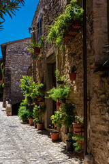 Obraz na płótnie Canvas Beautiful medieval street with flowers and plants in the historic center of Spello, Umbria Italy