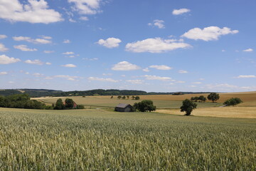 A Hut in the Fields, Landscape in Hohenlohe, Baden-Württemberg, Germany, Europe.
