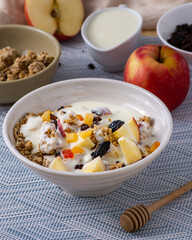 Bowl of Parfait made of granola and fruits surrounded by the ingredients