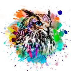 Tuinposter colorful artistic owl with bright paint splatters on white background color art © reznik_val