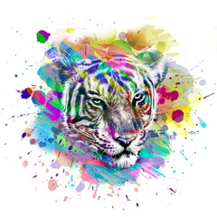 Sierkussen Bright abstract colorful background with tiger, paint splashes © reznik_val