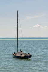 Balaton