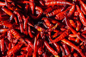 Lot of dried chili as a food background.
