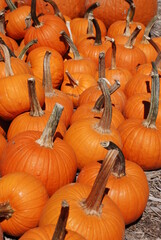 Pumpkins