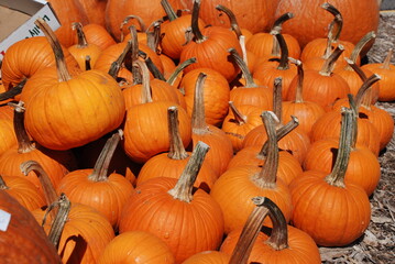 Pumpkins