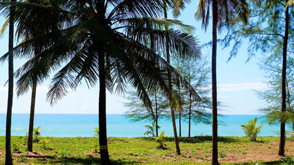 Fototapeta na wymiar Tropical vacation concept. Palm trees and turquoise sea on background on empty beach at sunny summer day. Blue ocean nature palms on island. Holidays in Asia, Thailand
