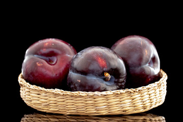 Three ripe black plums on a straw plate, close-up, isolated on a black background.