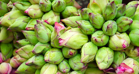 A bunch of Lotus in Howrah Flower Market for Selling