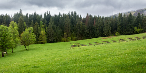 Fototapeta na wymiar countryside landscape on an overcast day. agriculture field behind the wooden fence. spruce forest on the grassy hill. low clouds hiding the distant mountain