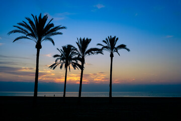 Silhouettes of palm trees on the beach at orange sunset