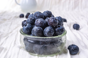 blueberry in a white bowl on a concrete light background. near few berries. Horizontal. Copy space