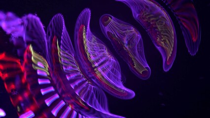 An illustration 3d of an abstract photo of jellyfish © cool photos