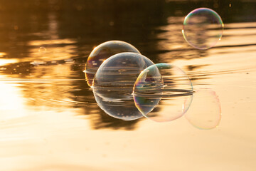
Soap bubbles on the surface of the water