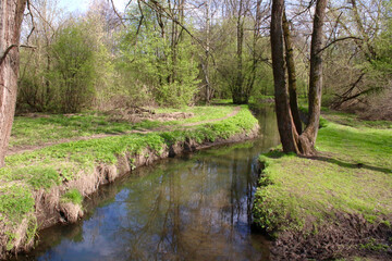 Fototapeta na wymiar View of shallow river in spring park